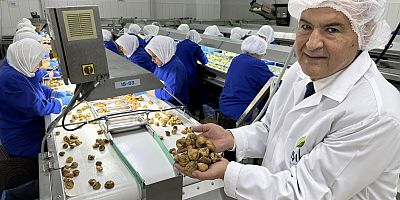 Muhteşem üçlü ihracatta 1 milyar dolar kazandırdı