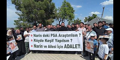 “Narin Güran Dosyası Yeniden İncelensin” Çağrısı: STK’lardan Basın Açıklaması