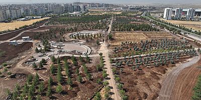 Naturapark’ta çalışmalar hız kesmeden sürüyor