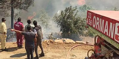 Orman Genel Müdürlüğü 4 bin 500 geçici işçi alacak