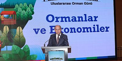 Ormanların Ekonomik Gücüne Dikkat Çekildi