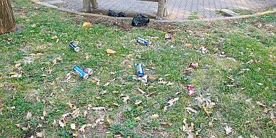 Parklarda gece eğlencesi, sabah çöp manzarası