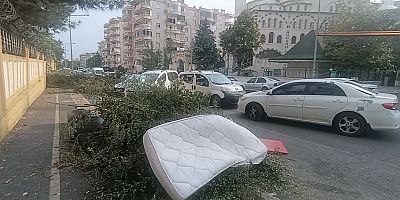 Peyas Mahallesi’nde 500 Metrelik Budama Atığı Tepkisi