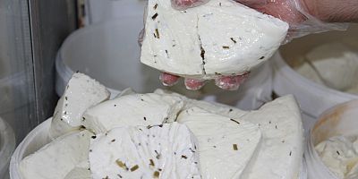 Peynir fiyatları cep yakıyor: Koyun peyniri 650 liraya ulaştı