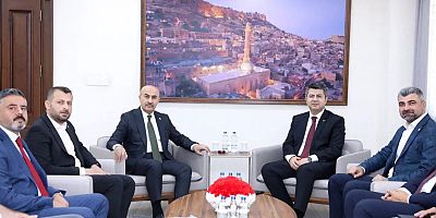 Sağlık Bakanı Yardımcısı Kırbıyık, Mardin’de bazı incelemelerde bulundu