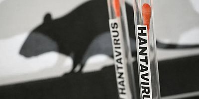 Sağlık Bakanlığından hantavirüs açıklaması: 3 vatandaşımız ülkemize getirilecek
