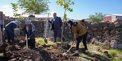 Sakallı ve Beykaya’da Yüzlerce Fidan Toprakla Buluştu