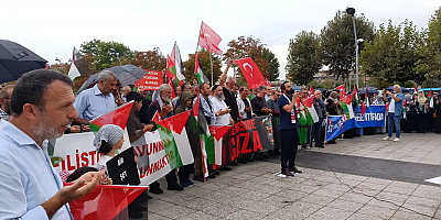 Sakarya'dan 