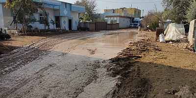 Şanlıurfa'da çamurlu yollar halkı mağdur ediyor
