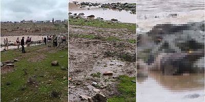 Şanlıurfa'da derede erkek cesedi bulundu