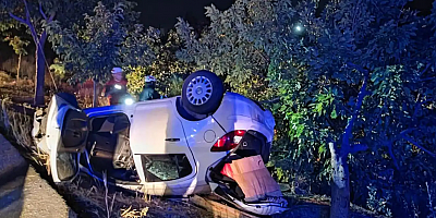 Şanlıurfa'da iki otomobil çarpıştı: 2 yaralı    