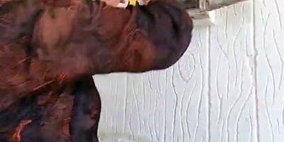 Şanlıurfa’da Kaçak Elektrik Denetiminde Dikkat Çeken Anlar