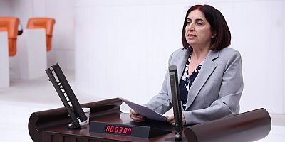 SEVİLAY ÇELENK, DİYARBAKIR’IN YILLARDIR BİRİKEN SORUNLARINI MECLİS’E TAŞIDI