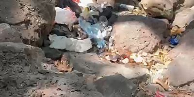 Şeyhandede Şelalesi Çöplüğe Döndü: Doğa Katliamına Tepki