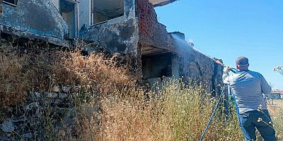 Sıcaklarla Birlikte Akrep Mücadelesi Başlatıldı