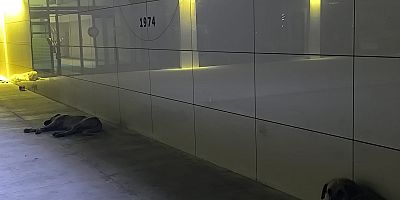 ŞİFA YERİNDE KÖPEK ENDİŞESİ