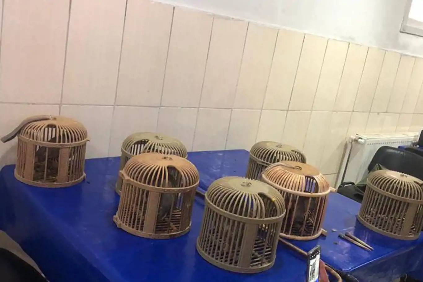 Siirt'te kaçak avcıya para cezası verildi
