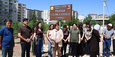 Silvan’da Rojin Kabaiş Parkı’na Yönelik Saldırıya Tepki