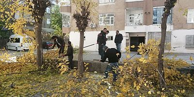 Site sakinleri istedi, Bağlar Belediyesi ağaçları budadı!