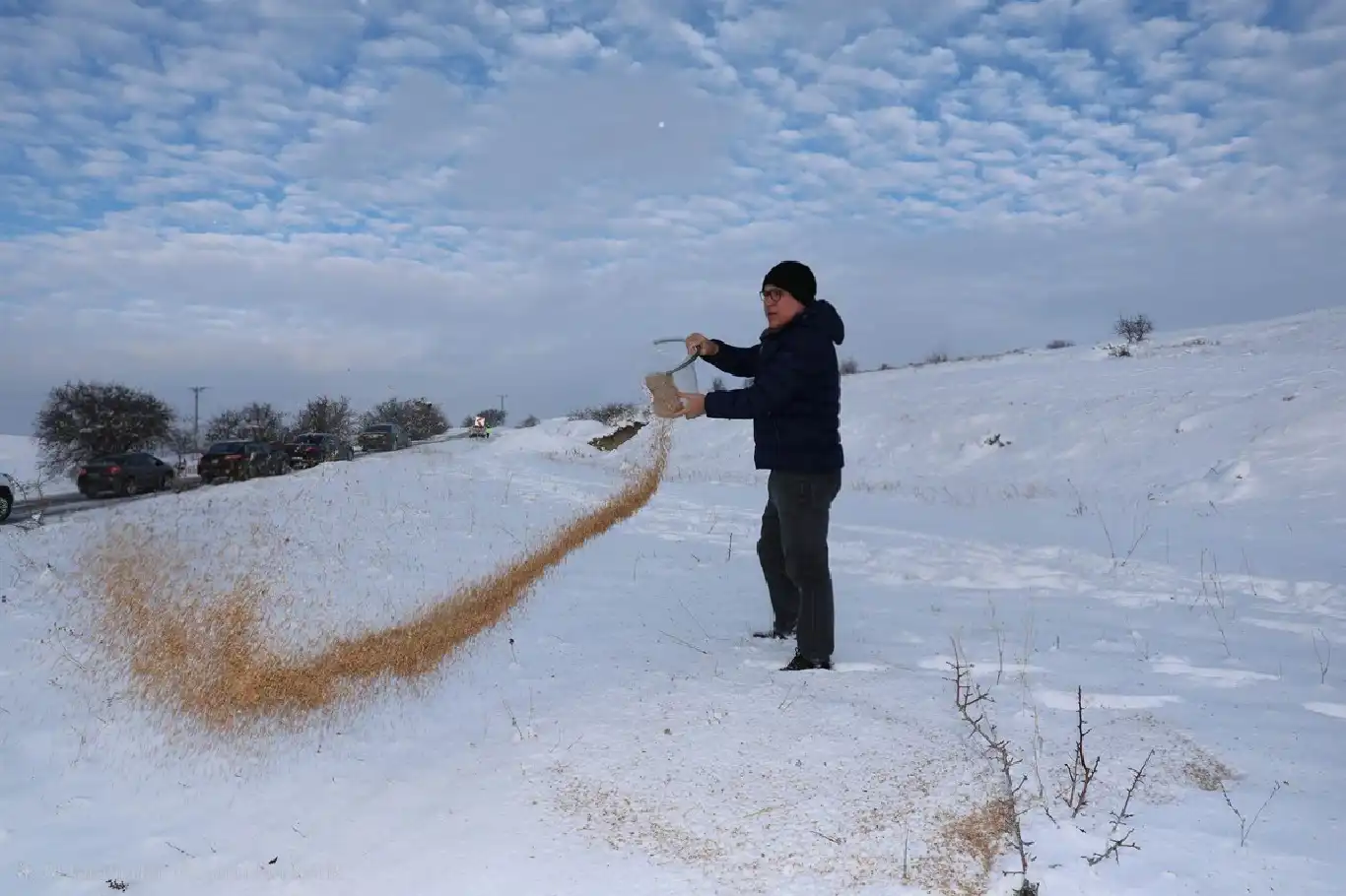 Sivas’ta kış şartlarında yaban hayvanlarına yem bırakıldı