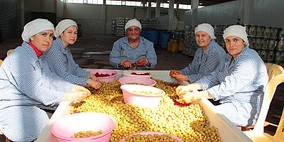 Sofralık zeytin ihracatı yeni sezona yüzde 13’lük artışla girdi