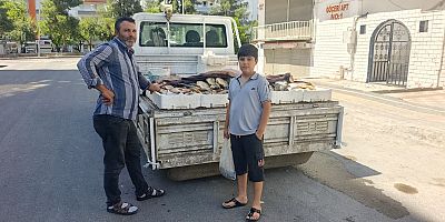 SOĞAN FİYATINA BALIK! DİYARBAKIRLI SEYYAR SATICIDAN VİCDAN DERSİ