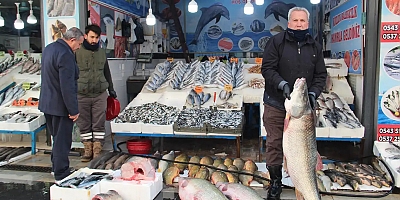 Soğuk hava balık tezgâhlarını vurdu ama talebi artırdı