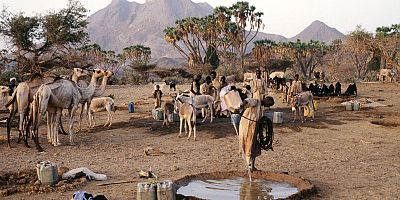 Sudan'da savaş derinleşiyor: El-Ubeyd kuşatma altında, göçerler hayata tutunamıyor