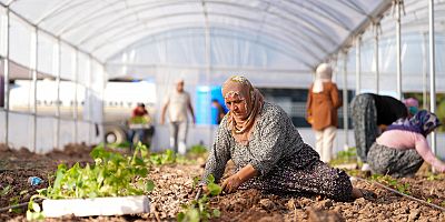 Sur'da Kadınlar Serada İlk Hasadın Temelini Attı