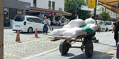 Suriçi’nde Çekçeklerin Sayısı Artıyor: Geçim Mücadelesinin Yükünü Taşıyorlar