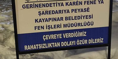 “Tabeladaki Yok Sayma, Zazaca’ya Kurulan Sessiz Sansürdür”