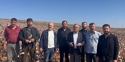 TARIMDA KRİZ DERİNLEŞİYOR  TANRIKULU’NDAN PAMUK ÜRETİCİLERİNE DESTEK ÇAĞRISI