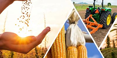 Tarımsal destek ödemesinin detayları belirlendi