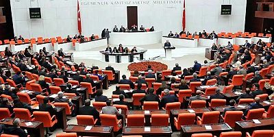 TBMM'de yeni düzenleme: Doğum izni artırıldı, sosyal medyaya sınırlama