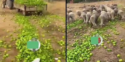 Ticaret Bakanlığı’ndan 