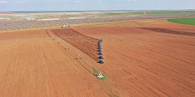 TİGEM Ceylanpınar’da 1'inci ürün dane mısır ekilişlerini tamamladı