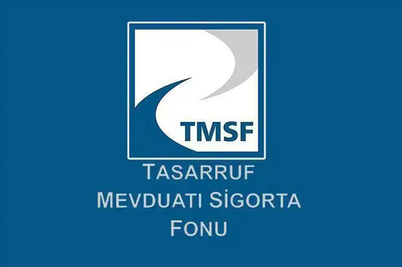 TMSF bir şirketi ihaleyle satışa çıkardı