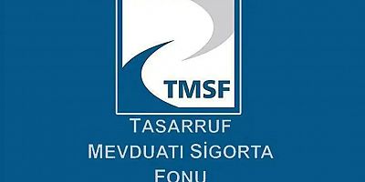 TMSF, Tera Yatırım Teknoloji Holding'e kayyum olarak atandı
