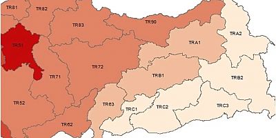 TÜİK, Türkiye’nin gelir haritasını paylaştı