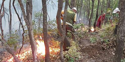 Tunceli’deki orman yangınına müdahale sürüyor