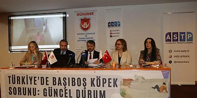“Türkiye’de Başıboş Köpek Sorunu” panelinde güncel durum ele alındı