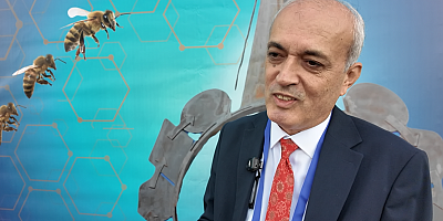 Türkiye’den dünyaya açılan bilim mirası: ABC algoritması 20 yıldır kullanımda