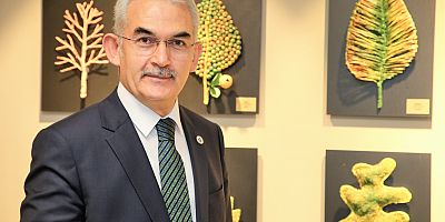 Türkiye, Odun Dışı Orman Ürünleri’nde dünya liderliğine oynuyor