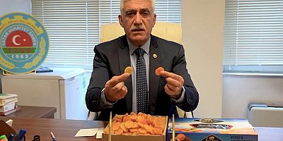 TZOB Yönetim Kurulu Üyesi Kılınç: Kaçak yollarla Türkiye'ye sokulan kayısılar Malatya üreticisini bitiriyor