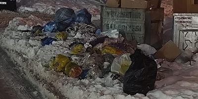 Üçkuyular TOKİ’de Çöpler Günlerdir Toplanmıyor, Şehir Yönetilemez Hale Geldi