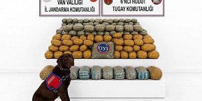 Van'da 291 kilo toz esrar ele geçirildi: Bir tutuklama