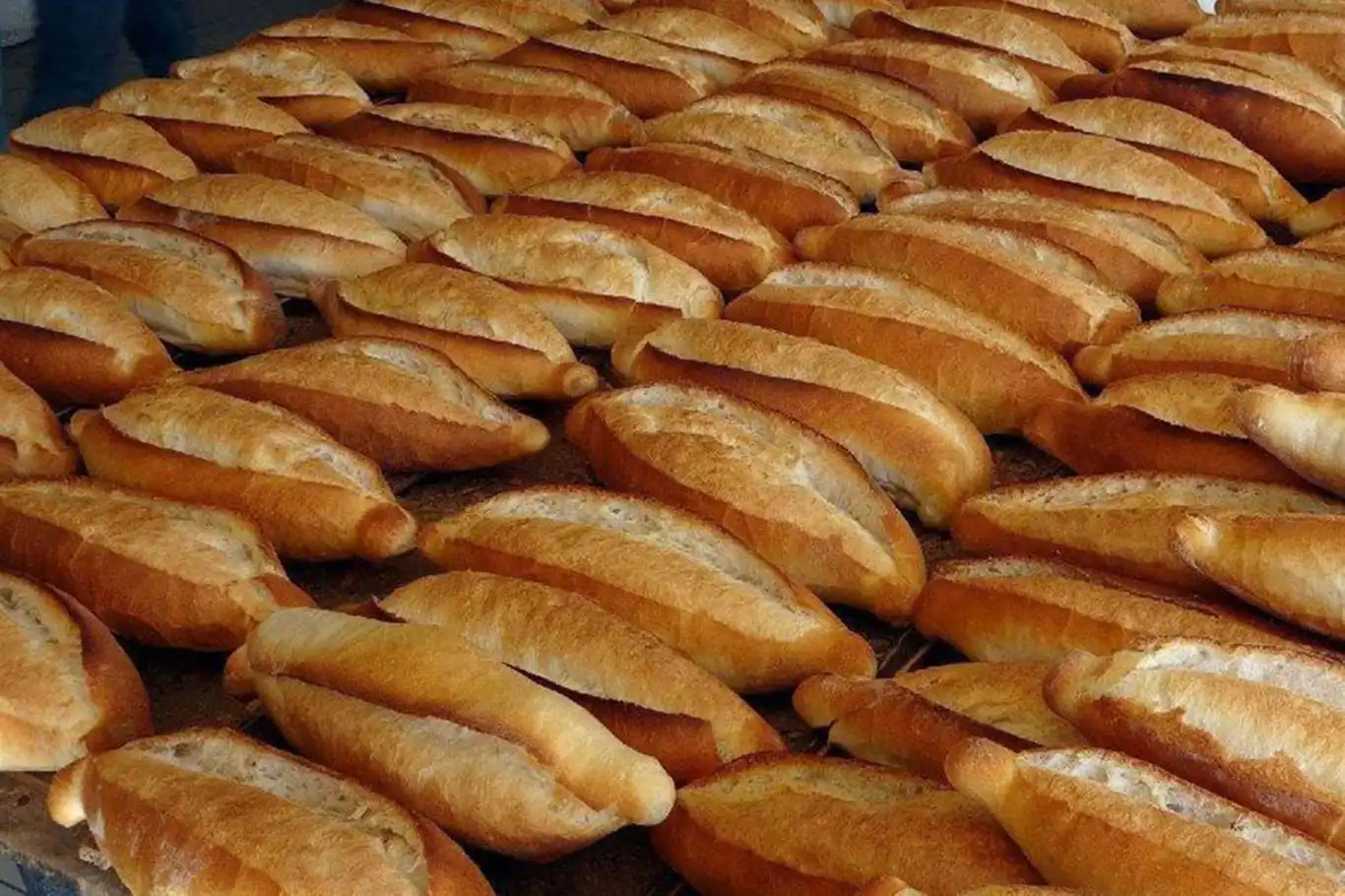 Van'da ekmek fiyatlarına zam