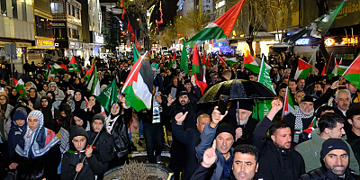 Van’da yağışa rağmen Gazze için geniş katılımlı eylem gerçekleştirildi