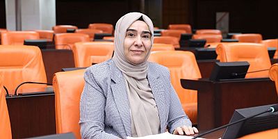 Van Milletvekili VARLİ’den işsizlik ve iş cinayetleri için Meclis’e soru önergesi