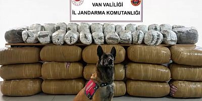 Van ve Edirne’de uyuşturucu operasyonu: 471 kilo skunk ele geçirildi